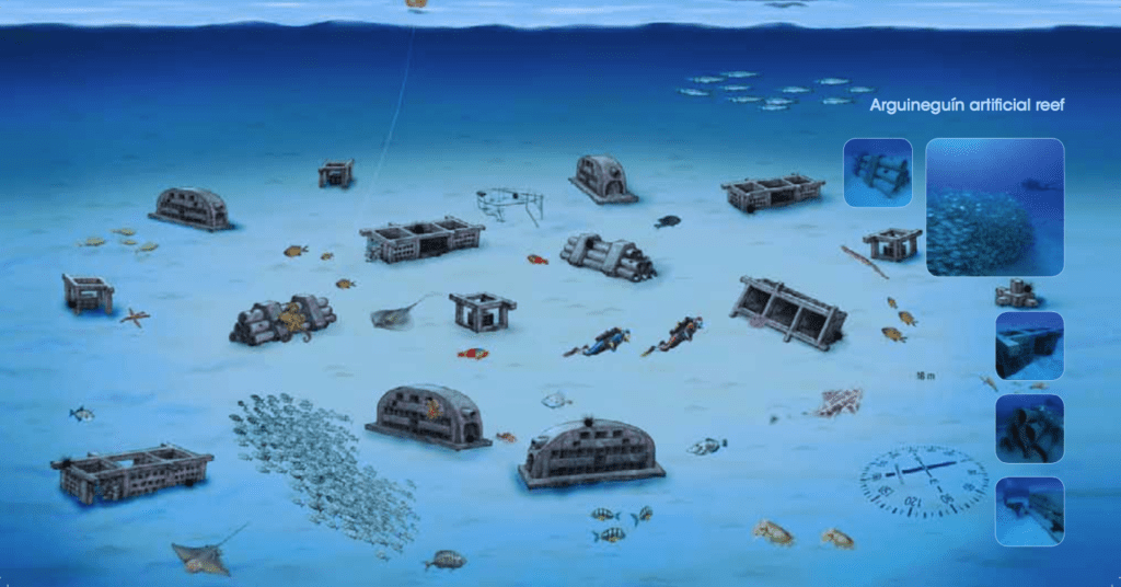 Artificial Reef Scuba Diving Site in Gran Canaria