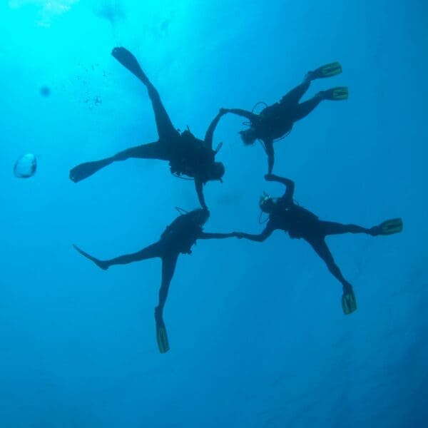 Advanced Diving In Gran Canaria