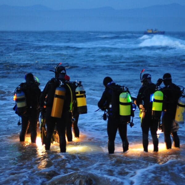 Night dive during PADI Advanced course in Gran Canaria