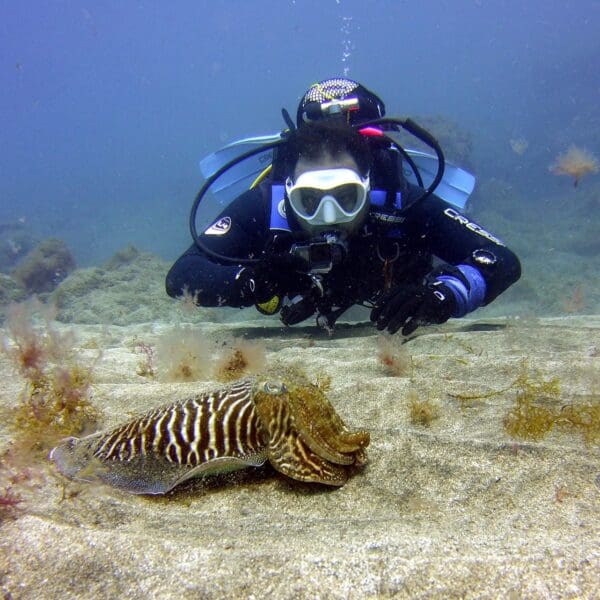 Advanced Scuba Diving