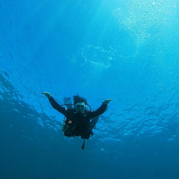 Advanced Scuba Diving Courses