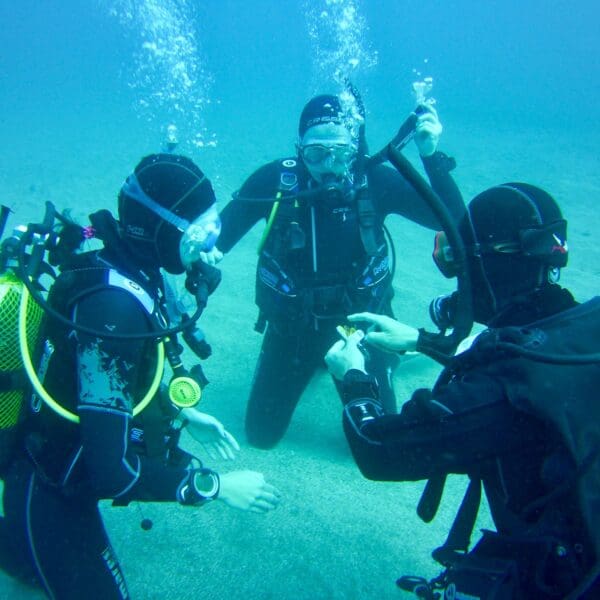 Open water diver practising buoyancy skills in shallow water