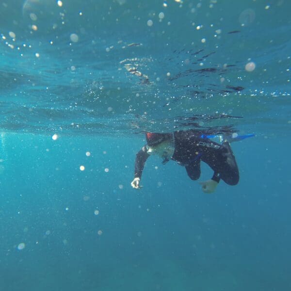 Snorkelling Gran Canaria