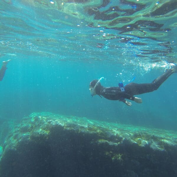 Snorkelling In Gran Canaria